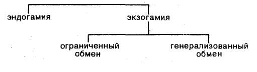 Экзогамия. Эндогамный и ЭКЗОГАМНЫЙ брак. Эндогамия это определение. Эндогамия экзогамия гомогамия.